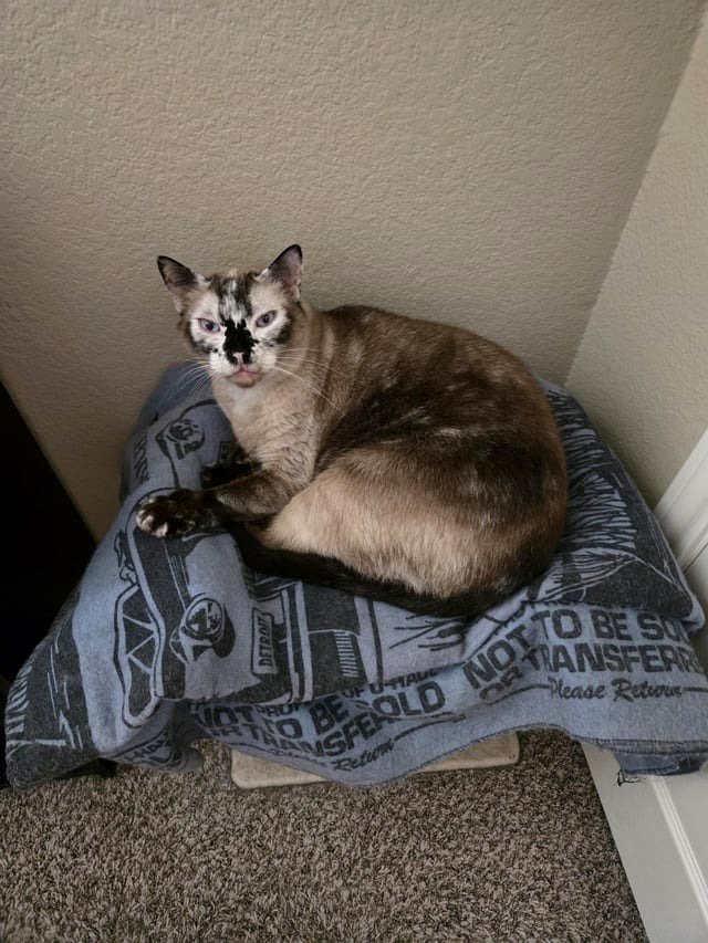 I remind my attractive son daily how handsome he is.